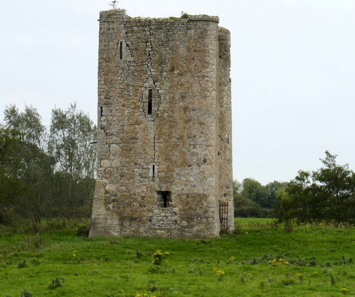 Donore Castle Ruins, Ireland